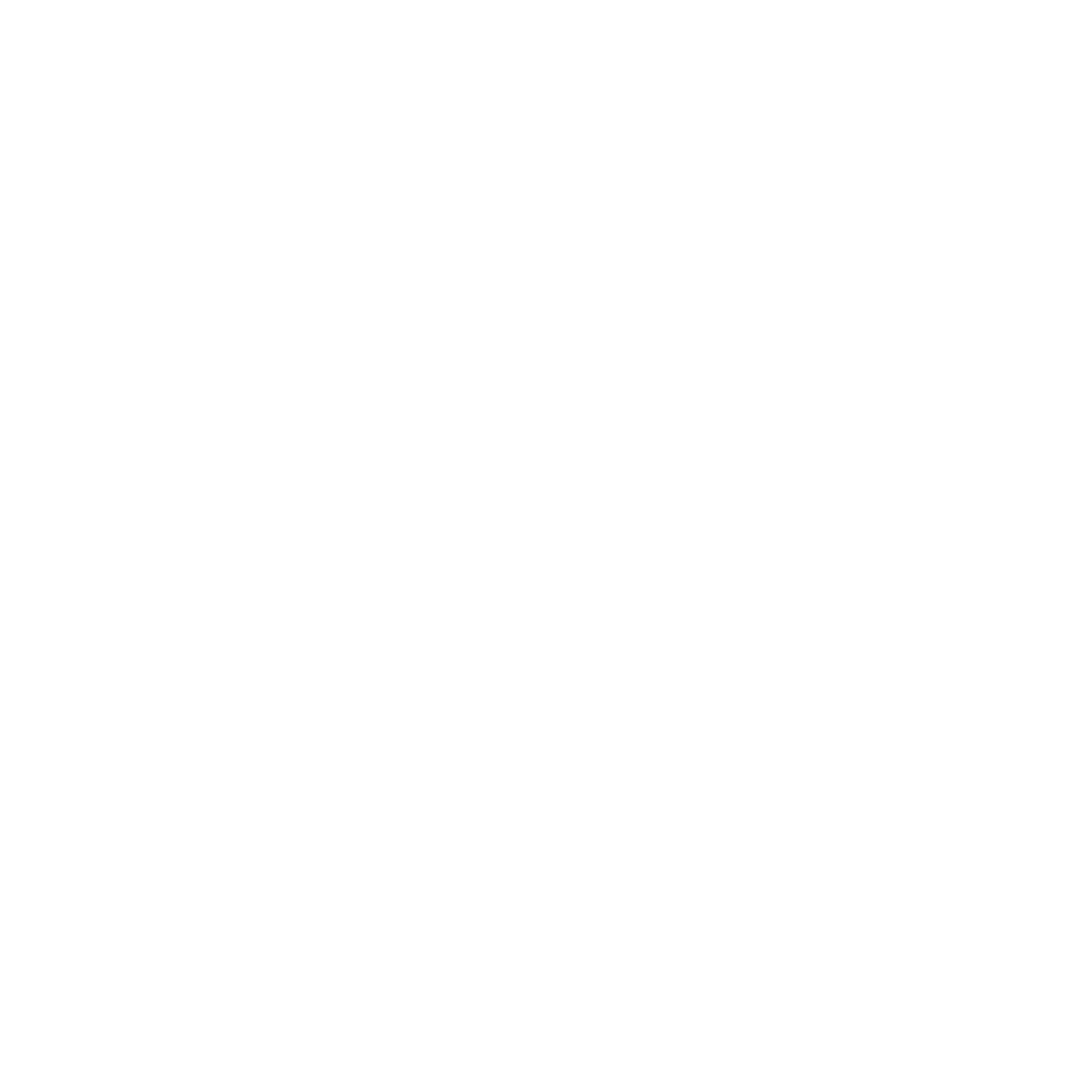 Instagram icoon